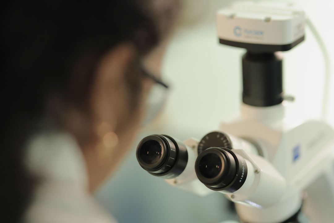 Sai Life Sciences Global Harmonization